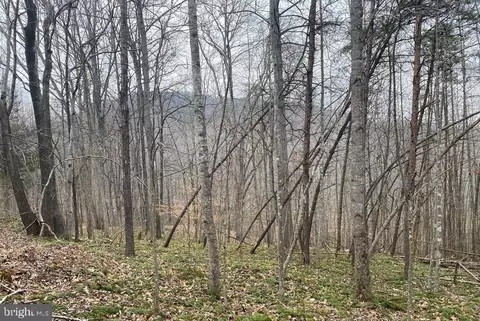 0 Turkey Ridge Rd, Castleton, VA 22716 photo 9
