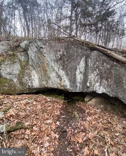 0 Turkey Ridge Rd, Castleton, VA 22716 photo 5
