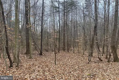 0 Turkey Ridge Rd, Castleton, VA 22716 photo 6