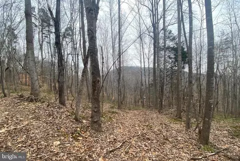 0 Turkey Ridge Rd, Castleton, VA 22716 photo 2