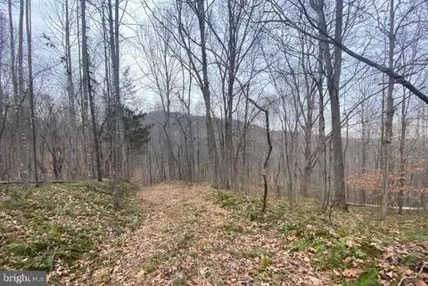 0 Turkey Ridge Rd, Castleton, VA 22716 photo 10