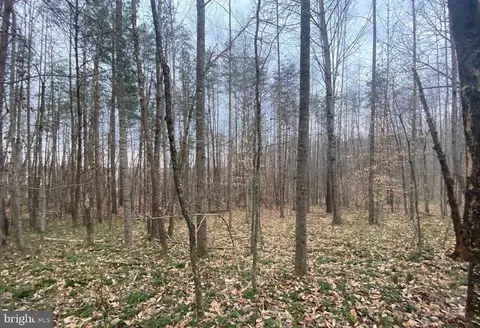 0 Turkey Ridge Rd, Castleton, VA 22716 photo 12