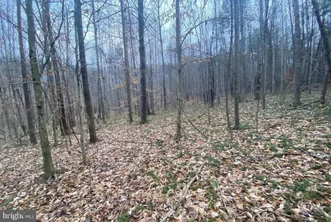 0 Turkey Ridge Rd, Castleton, VA 22716 photo 8