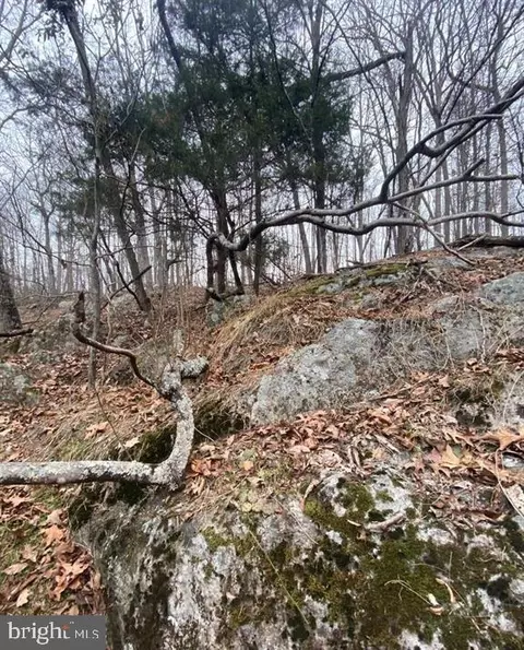 0 Turkey Ridge Rd, Castleton, VA 22716 photo 11
