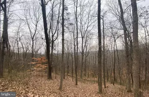 0 Turkey Ridge Rd, Castleton, VA 22716 photo 3