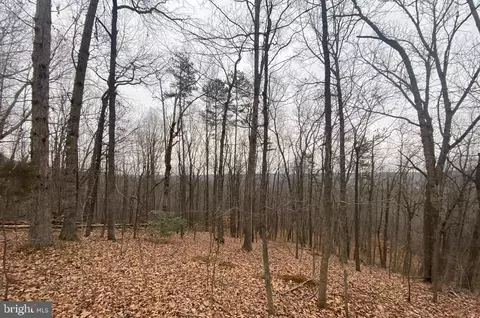 0 Turkey Ridge Rd, Castleton, VA 22716 photo 4