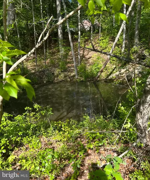 lot3 Wallace St, Warsaw, VA 22572