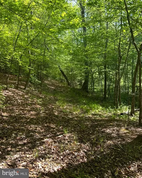 lot1 Wallace St, Warsaw, VA 22572