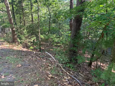Tbd Demaret Rd, Basye, VA 22810 photo 3