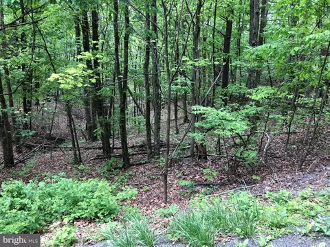 tbd Clark Rd, Basye, VA 22810 photo 3