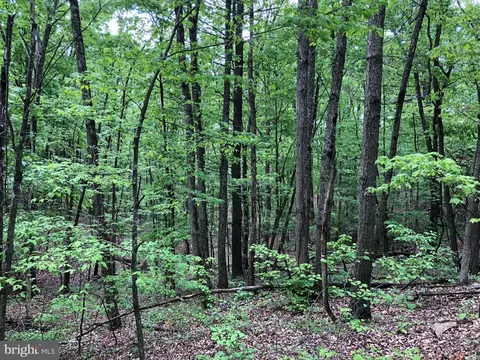 tbd Clark Rd, Basye, VA 22810 photo 2