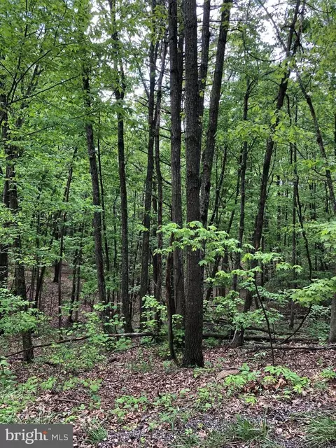 tbd Clark Rd, Basye, VA 22810