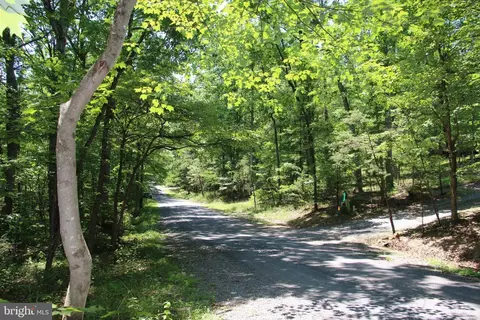 Patrick Lane, Mount Jackson, VA 22842