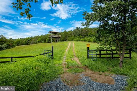 Tbd Frenchman Pond Road, Fort Valley, VA 22652