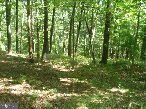 Supinlick Ridge, Mount Jackson, VA 22842