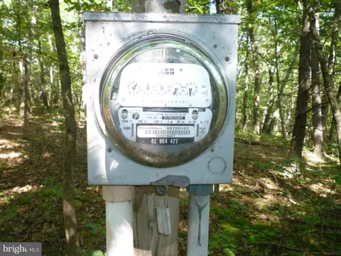 Supinlick Ridge, Mount Jackson, VA 22842 photo 3