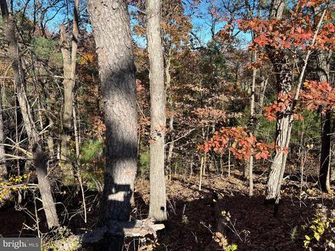 0 Hoods Point Rd, Basye, VA 22810