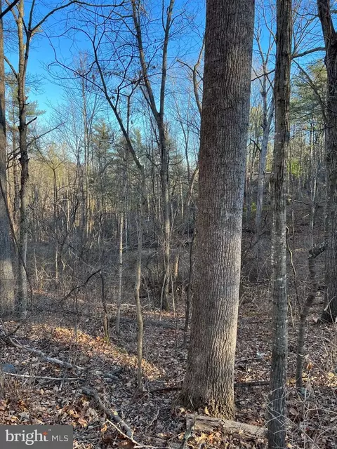 23 Dale Drive, Basye, VA 22810