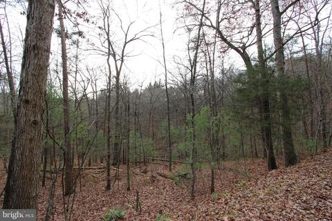 Basswood Drive, Mount Jackson, VA 22842