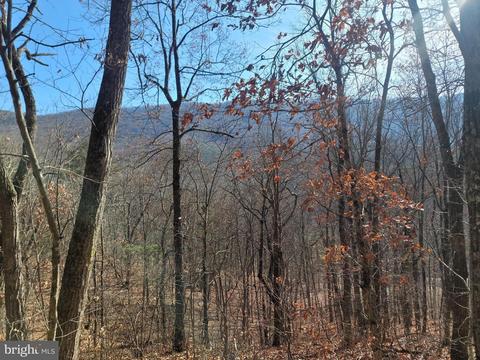 Moreland Gap, Mount Jackson, VA 22842