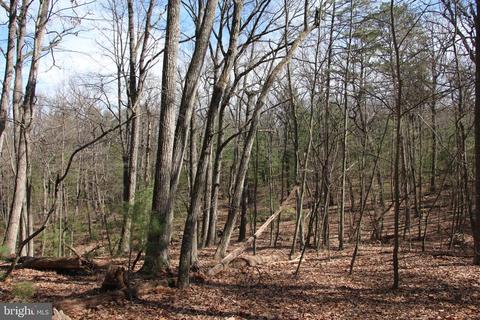 Supinlick Ridge Road, Mount Jackson, VA 22842