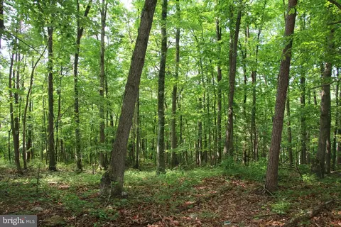 Three Mile Bank Lane, Edinburg, VA 22824