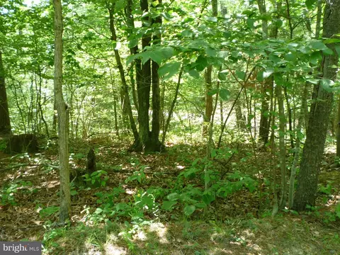 36 Morrie Drive, Basye, VA 22810 photo 3