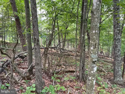 115 Pheasant Drive, Basye, VA 22810 photo 32