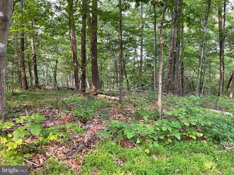 115 Pheasant Drive, Basye, VA 22810 photo 33