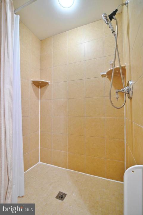 522 Orchard Rd, Mount Jackson, VA 22842 photo 35