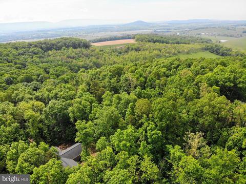 522 Orchard Rd, Mount Jackson, VA 22842 photo 63