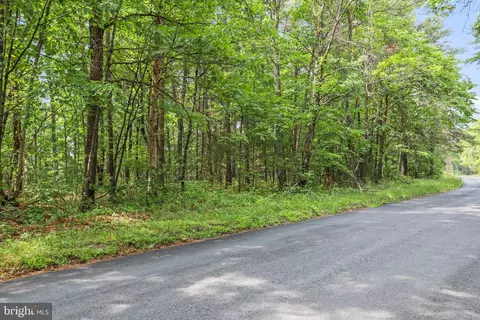 Suplinlick Ridge - Lot 12 Road, Mount Jackson, VA 22842