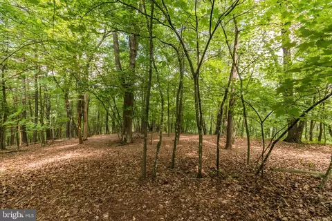 85 Valley View Rd, Basye, VA 22810 photo 6