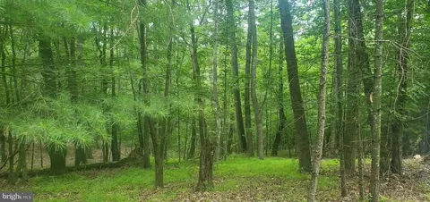 872 N Maple Rd, Mount Jackson, VA 22842 photo 7