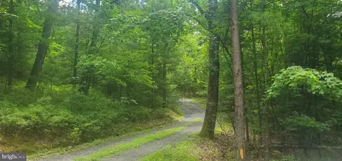 872 N Maple Rd, Mount Jackson, VA 22842 photo 9
