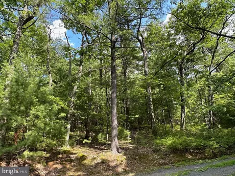 872 N Maple Rd, Mount Jackson, VA 22842 photo 37