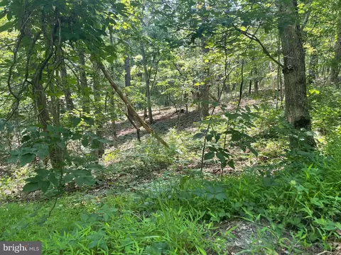 100 Snead Lane, Basye, VA 22810