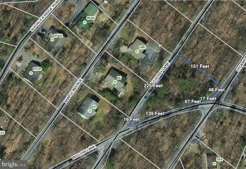 Willow Lane, Mount Jackson, VA 22842 photo 2