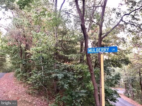 Willow Lane, Mount Jackson, VA 22842