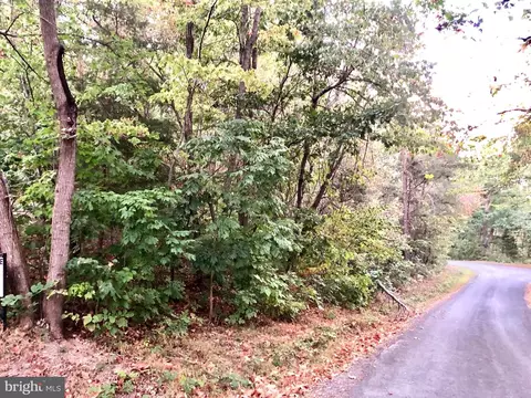 Willow Lane, Mount Jackson, VA 22842 photo 6