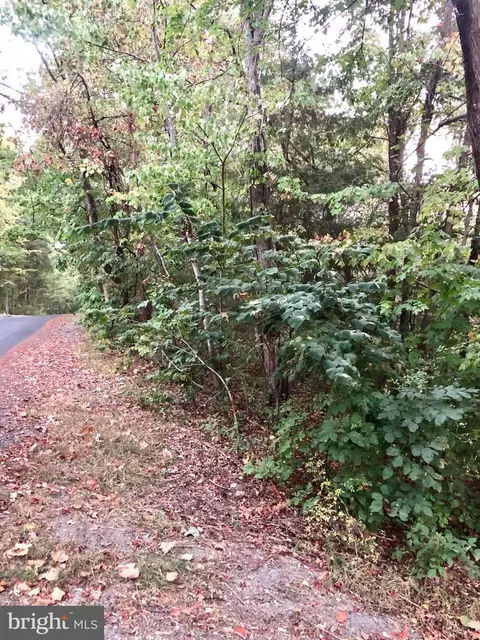 Willow Lane, Mount Jackson, VA 22842 photo 4