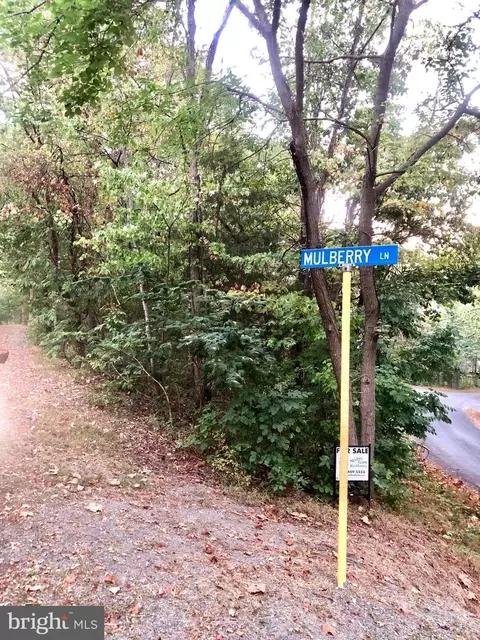 Willow Lane, Mount Jackson, VA 22842 photo 3