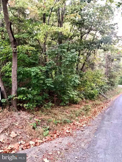 Willow Lane, Mount Jackson, VA 22842 photo 5