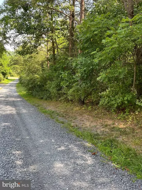 Quail, Basye, VA 22810