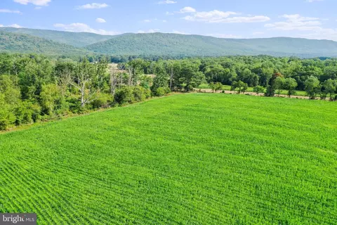 34 Acres Stultz Gap Rd, Woodstock, VA 22664