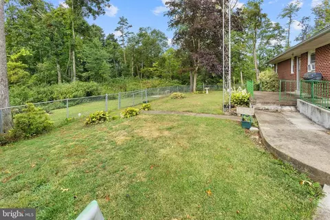450 Walker Rd, Mount Jackson, VA 22842 photo 39