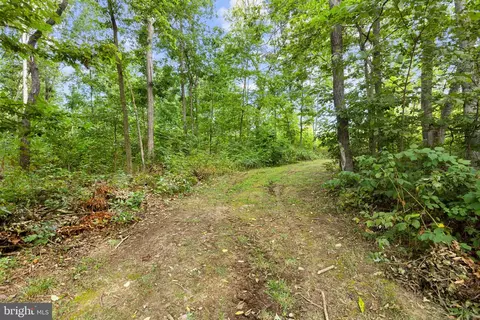 450 Walker Rd, Mount Jackson, VA 22842 photo 49