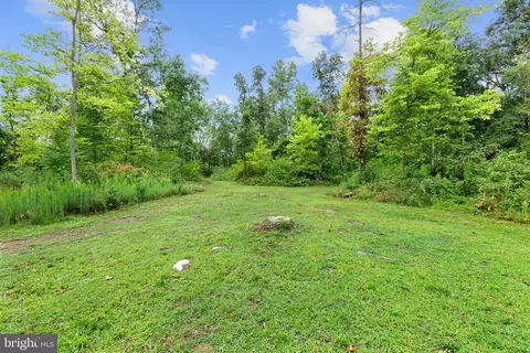 450 Walker Rd, Mount Jackson, VA 22842 photo 48