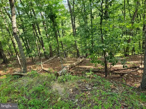 Deloris Road, Basye, VA 22810