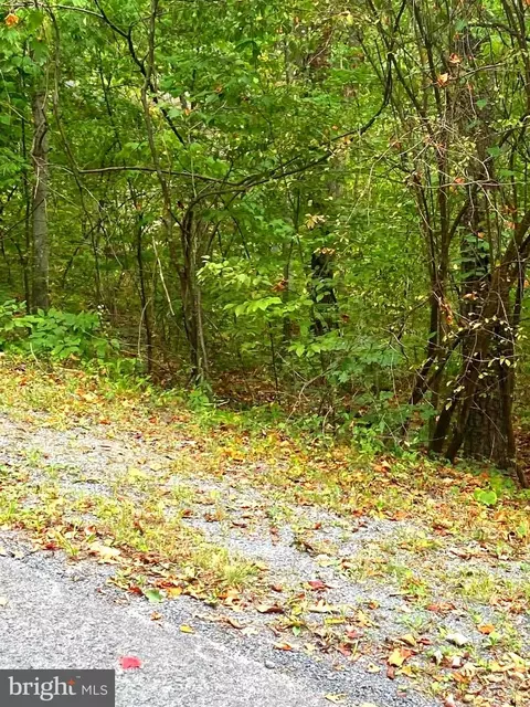 Willow Ln, Mount Jackson, VA 22842 photo 4